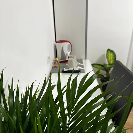Rome Holiday Guesthouse בית הארחה